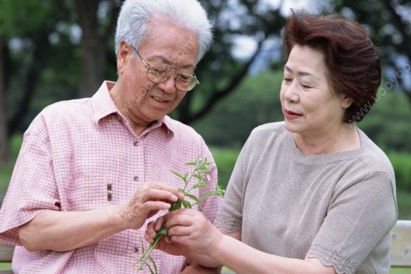 孫子牽95歲奶奶散步，老年人春天適合哪些運(yùn)動(dòng)？(4)