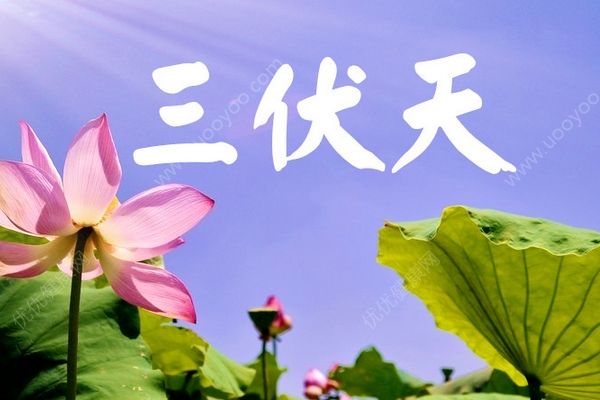 今日入伏長達40天！三伏天如何養(yǎng)生？(1)