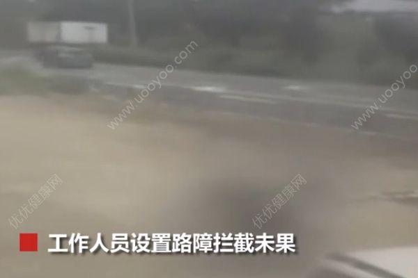 無牌轎車闖卡逃費(fèi)，工作人員擲石頭砸傷車內(nèi)女童(2)