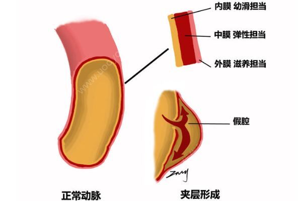 深圳52歲女子突發(fā)腹痛求醫(yī)，7小時(shí)打兩針醫(yī)院身亡(2)