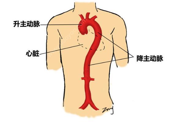 深圳52歲女子突發(fā)腹痛求醫(yī)，7小時(shí)打兩針醫(yī)院身亡(3)