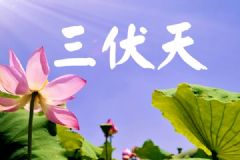 今日入伏長(zhǎng)達(dá)40天！三伏天如何養(yǎng)生？[多圖]