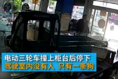 電動三輪車突然沖進手機店，“肇事者”卻是條狗[多圖]