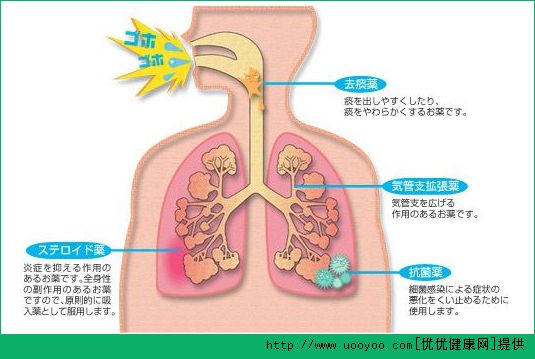 長跑有什么好處？長跑對身體的好處有哪些？(2)