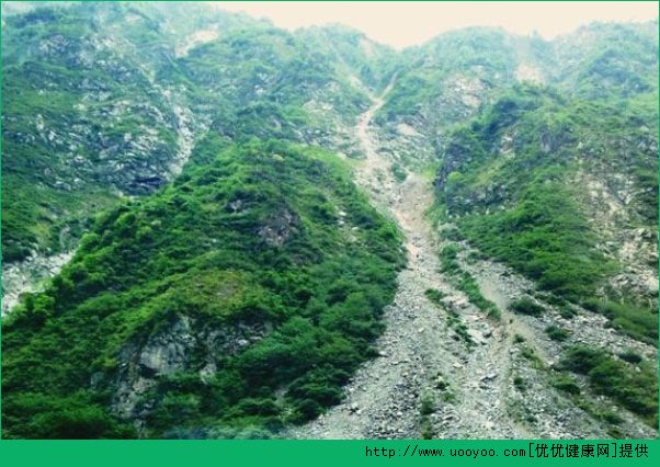 登山時下暴雨怎么辦？登山時如何預(yù)防危險(xiǎn)？(3)