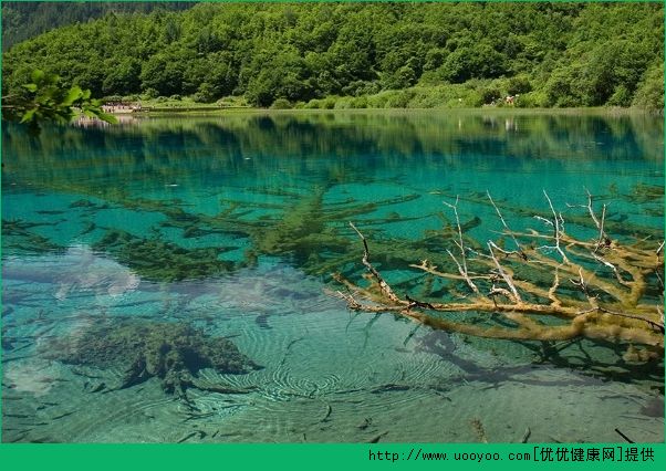 畢業(yè)旅行去哪里好？國內(nèi)畢業(yè)旅行推薦(6)