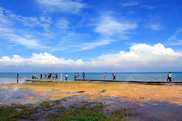 夏天去哪玩比較好？夏天去哪玩涼快？(5)