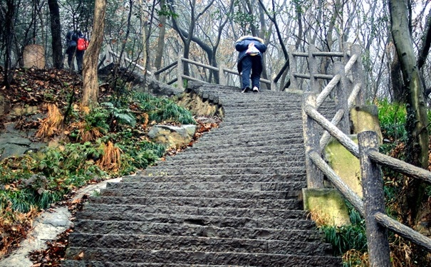 爬山瘦哪里？爬山能減肚子嗎？(1)