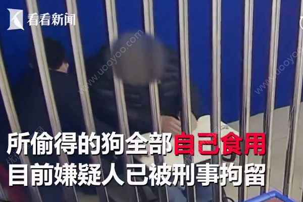 男子為吃狗肉，當(dāng)街飛車搶走萬元名犬(4)