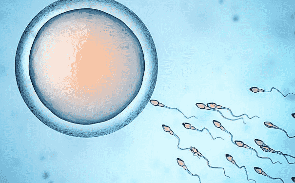 精子存活率低有哪些原因？精子存活率低吃什么好？(1)