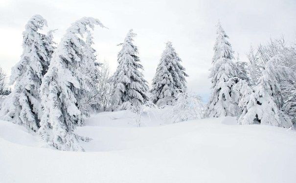 全國多地下雪，白雪皚皚，雪可以直接吃嗎？(2)