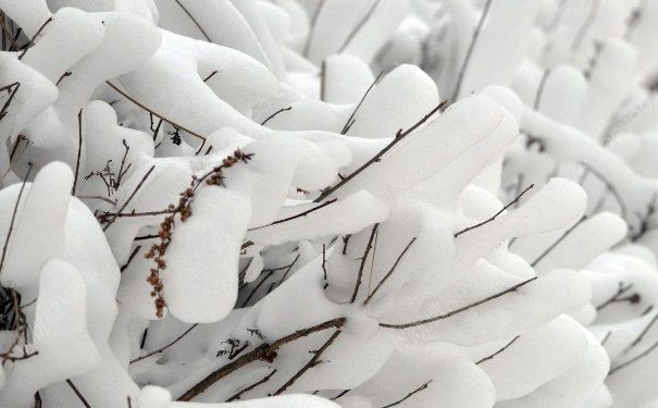 全國多地下雪，白雪皚皚，雪可以直接吃嗎？(3)