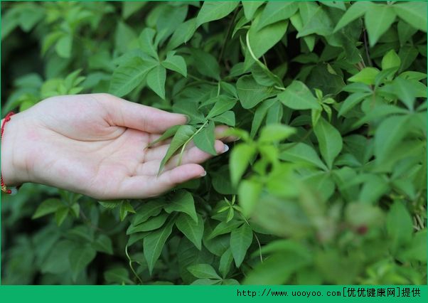 皮膚能整容美白嗎？整容能讓皮膚變白嗎？(4)