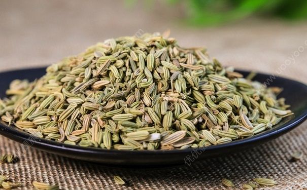 經(jīng)期可以吃茴香嗎？經(jīng)期吃茴香有什么影響？(3)