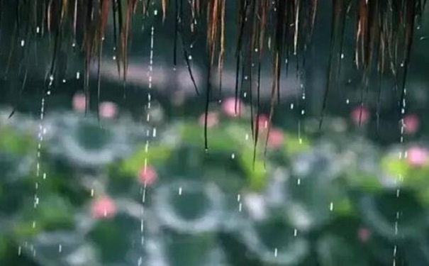 梅雨是什么時候？梅雨季節(jié)是什么時候？(1)