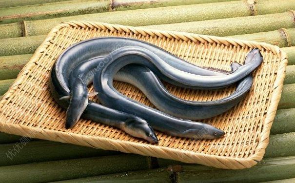 一家六口吃魚中毒緊急送院，這毒素竟比河豚強100倍(2)