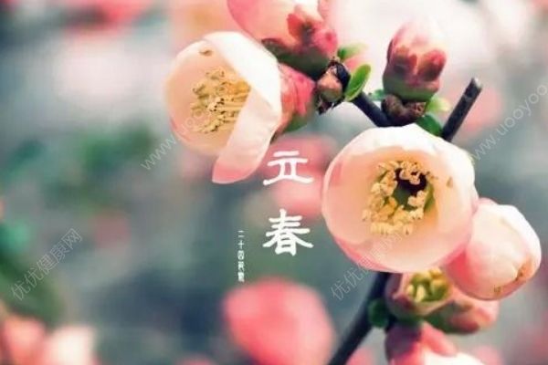 立春為什么要吃春卷？立春節(jié)氣有什么習(xí)俗？(1)