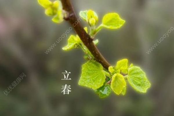 立春養(yǎng)生攻略有哪些？立春養(yǎng)肝有哪些方法？(1)