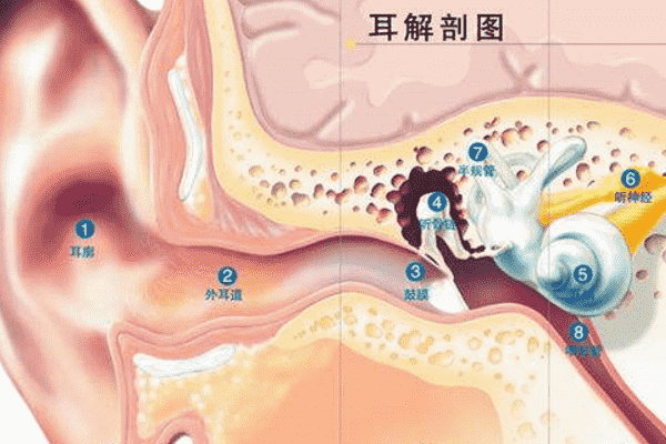 經(jīng)常挖耳屎影響很大！一招解決耳屎煩惱(1)