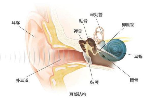 經(jīng)常挖耳屎影響很大！一招解決耳屎煩惱(2)