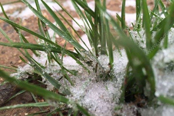 中央氣象臺又發(fā)布藍色暴雪預警，倒春寒要來了嗎？(4)