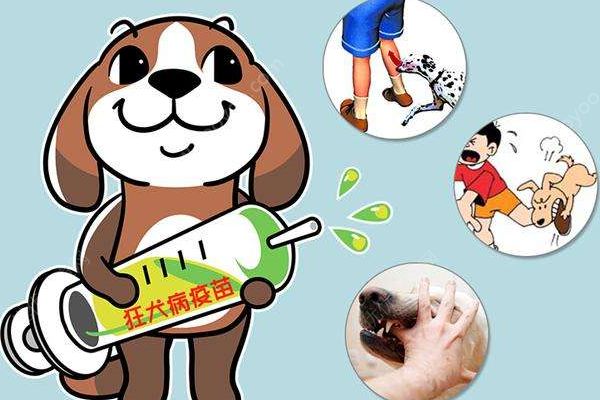 小男孩感染狂犬病“學(xué)狗叫”？警方：系謠言(4)