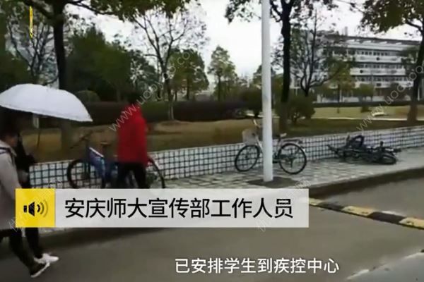 流浪狗咬傷11名大學生，該怎樣對待流浪狗？(4)