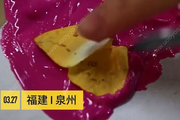 用活蝴蝶做畢業(yè)設(shè)計！是藝術(shù)還是殘忍？(1)