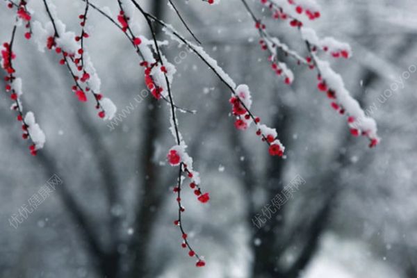 北京發(fā)布暴雪預(yù)警，30年來(lái)首次四月飛雪(4)