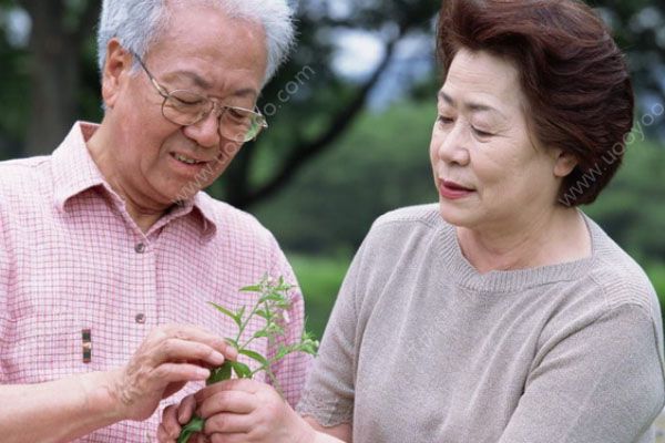 年輕的胖子更易腦梗！你中槍了沒(2)