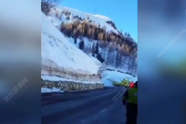 實(shí)拍阿爾卑斯山雪崩！雪浪翻滾如“猛獸下山”！(4)