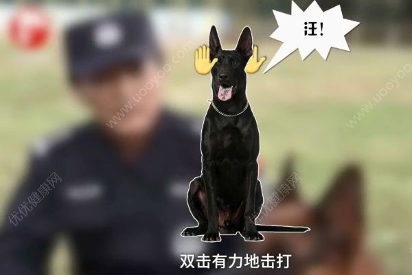 惡犬撲咬無路逃！下一步你該咋辦？(2)