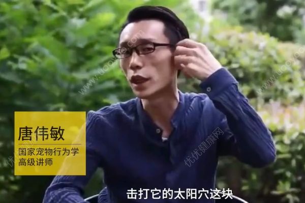 惡犬撲咬無路逃！下一步你該咋辦？(3)