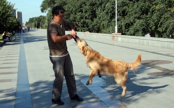 被狗咬了出血不打針行嗎？狗咬傷不打狂犬疫苗會(huì)怎樣？(1)