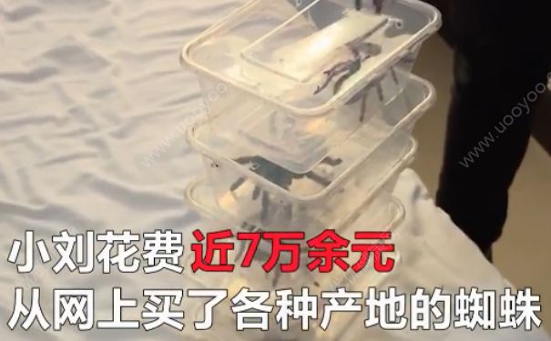 電熱毯燒死寵物 如何防止電熱毯短路？(1)