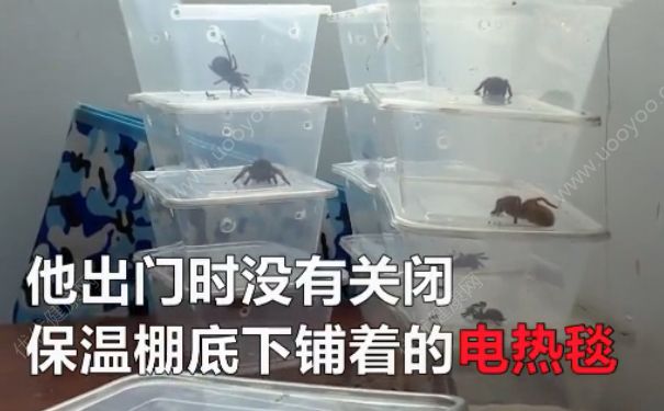 電熱毯燒死寵物 如何防止電熱毯短路？(3)