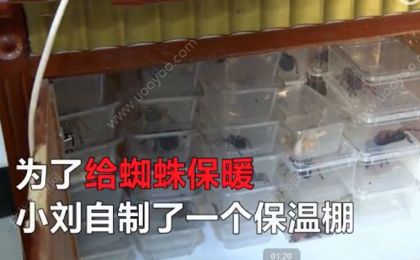 電熱毯燒死寵物 如何防止電熱毯短路？(4)