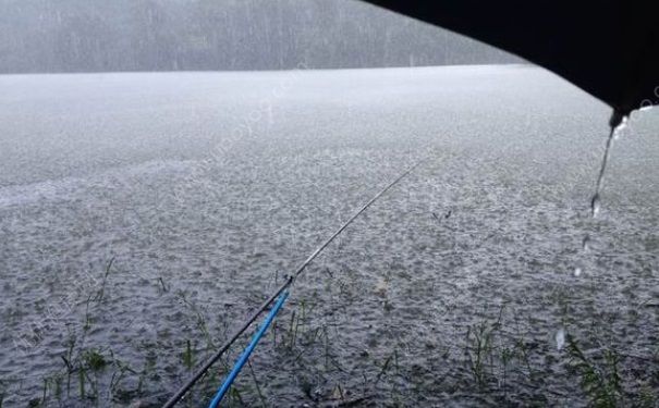 下雨天有魚釣嗎？夏季大雨天釣魚好嗎？(1)