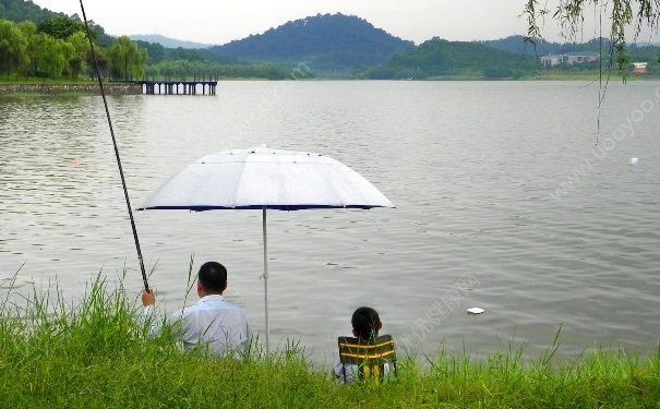 下雨天有魚釣嗎？夏季大雨天釣魚好嗎？(2)