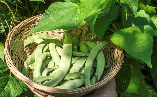 哪些食物可能會(huì)引起食物中毒？容易引起食物中毒需警惕的食物(1)