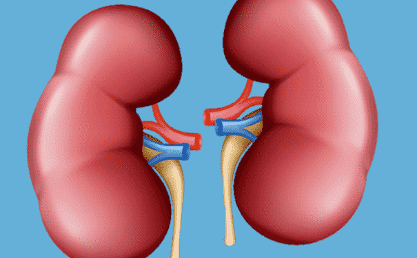 如何判斷腎好不好？腎病的信號是什么？(1)