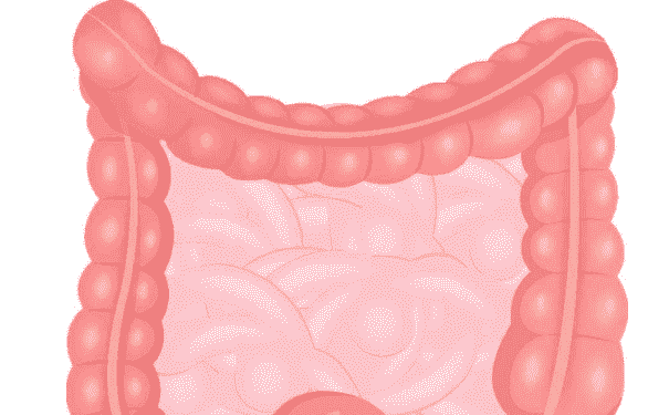 保護(hù)腸胃有哪些妙招？怎么保護(hù)腸胃最好？(1)