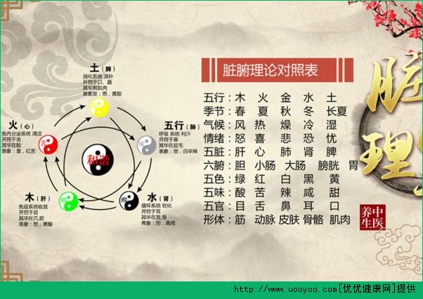 五行和五臟的關(guān)系是什么？五臟對(duì)應(yīng)的五行介紹(3)