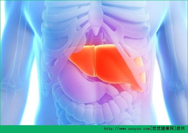 肝臟如何保養(yǎng)？教你生活中的保健方法(1)