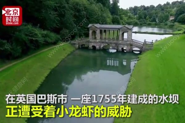 10萬小龍蝦圍攻英國水壩，政府斥巨資展開防御(2)