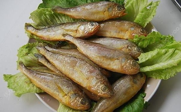 深圳小黃魚兩條4628元，吃小黃魚有什么好處？(2)