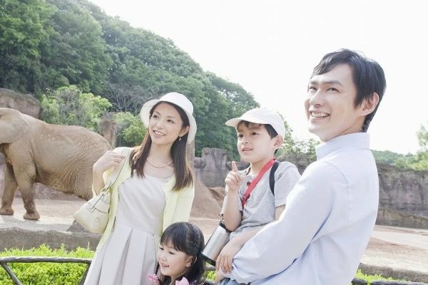 男孩動物園內被孔雀啄出血，帶孩子去動物園要注意什么？(3)