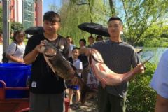 重慶一高校打撈萬(wàn)斤魚，將做剁椒魚頭等給師生吃[多圖]