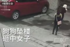 高空墜狗路過女子被砸傷，結(jié)果狗卻活著，如何防止高空拋物？[多圖]