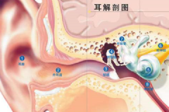 經(jīng)常挖耳屎影響很大！一招解決耳屎煩惱[多圖]